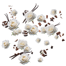 Wild Deodorant Refill