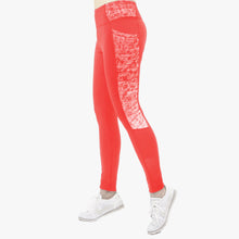 Twilight Duet: Exquisite Two-Tone Leggings